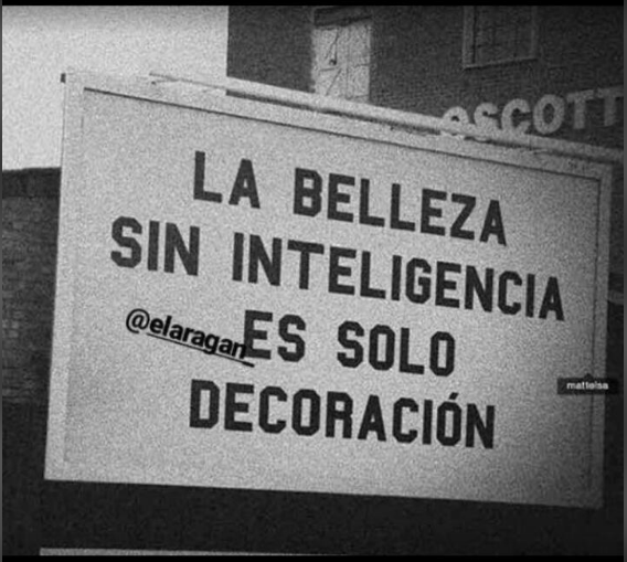 AlejandroRochel's tweet photo. 😎 https://t.co/gbnbuIEuSa