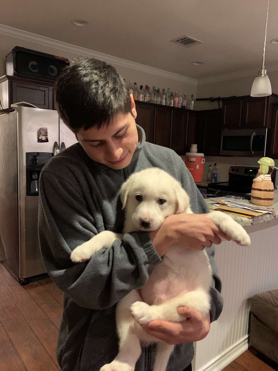 tamubetas's tweet image. We would like to wish the Capitan ☸️ of the Nu Alpha Line, #137 Benjamin ”Calix” Zuniga a very Happy 20th Birthday! We hope you had a great day!! #LovelyBaeta #Fall19 #ΣΛΒ #20 @stwbenjamin