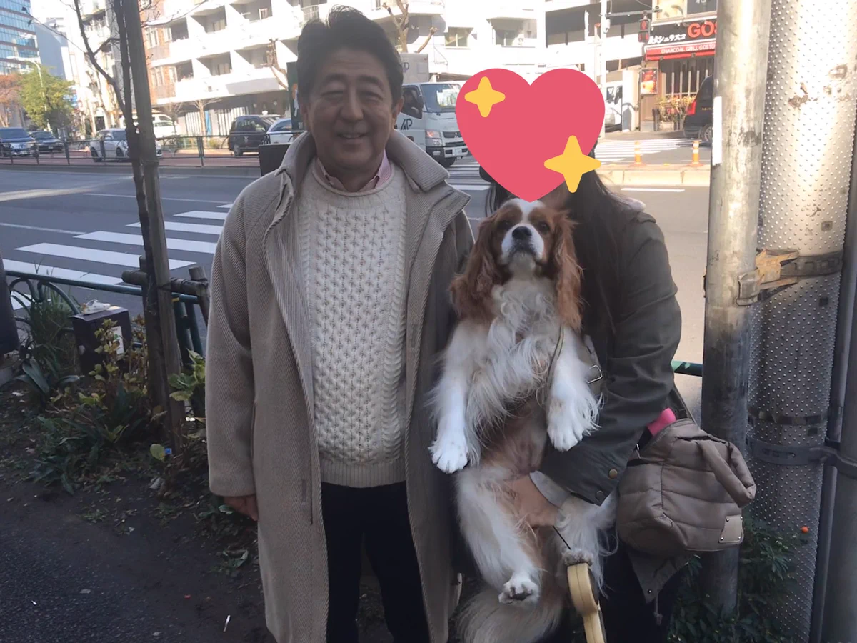 六本木を散歩した結果？安倍首相も散歩してたwww