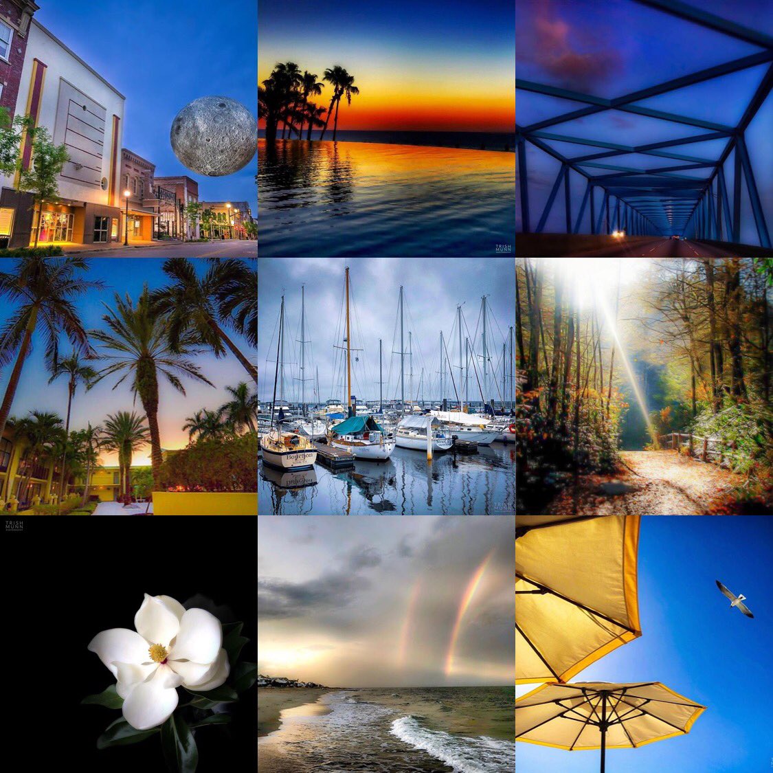 Trish Munn TV tweet media