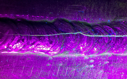 nd_testing's tweet photo. Magnetic particle inspection is a simple #NDT method used to detect cracks at the surface of ferromagnetic materials such as steels and nickel-based alloys.
#ndtinspector #quality #magneticparticle #magneticparticleinspection #labwork #ndtesting @sciencedirect https://t.co/eYBWGCGwLs