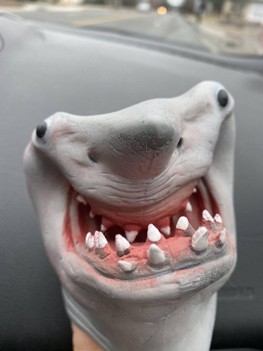 Shark Puppet on Twitter: Shark Puppet on Twitter: