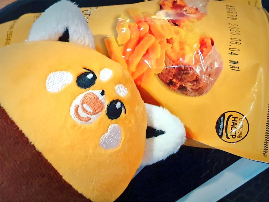 셍볼, 쌀국수 입수 위협에 보호색으로 위장 시도❗#셍볼