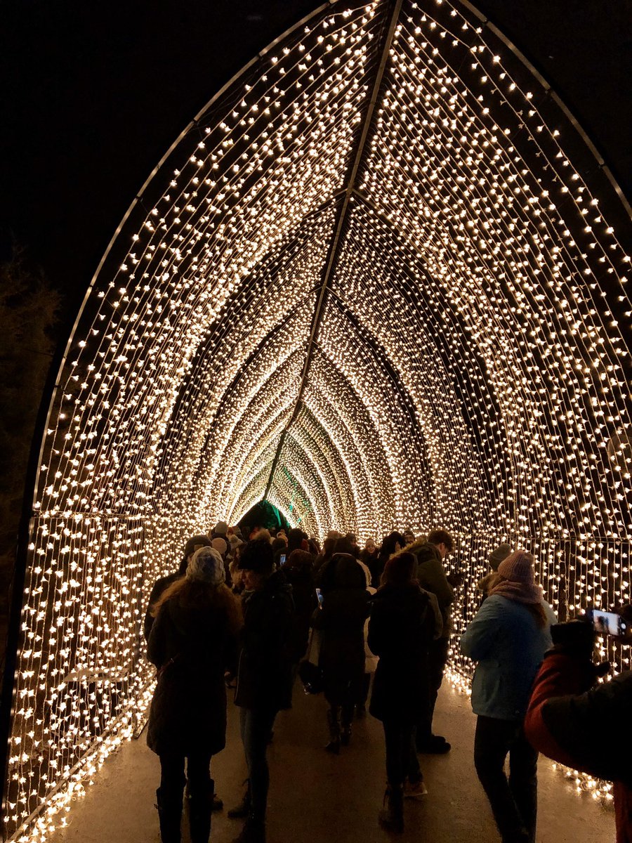 lightscape botanic gardens comed lightscape botanic gardens comed