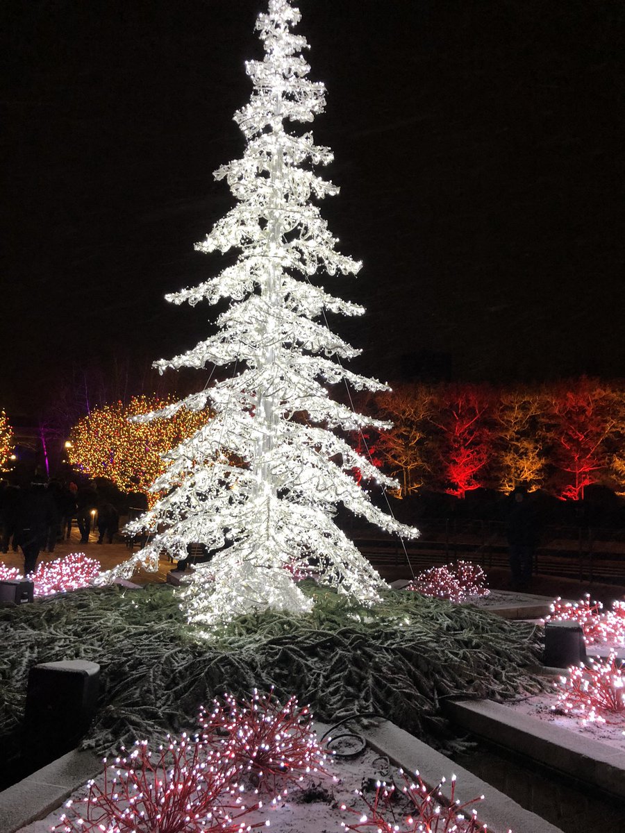 lightscape botanic gardens comed lightscape botanic gardens comed