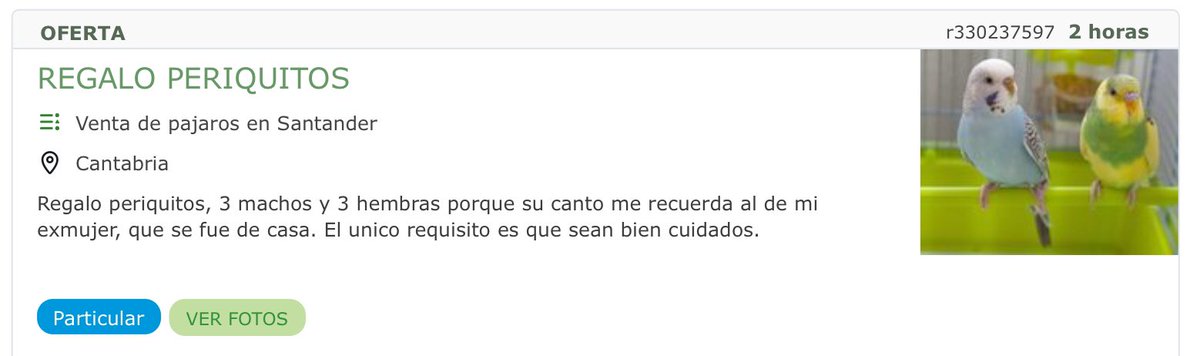 Panflay's tweet photo. @zapeandola6 se regalan periquitos, el señorin  tiene pesadillas! https://t.co/qUAAXNZubJ
