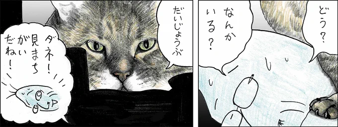 や、どうも。
みなさんオそうじはすみましたか。
ことしはおんみソカの日までごみのしゅうしゅうがあってよかった、っておじいちゃんが。
らいねんもいいことがありますように。 