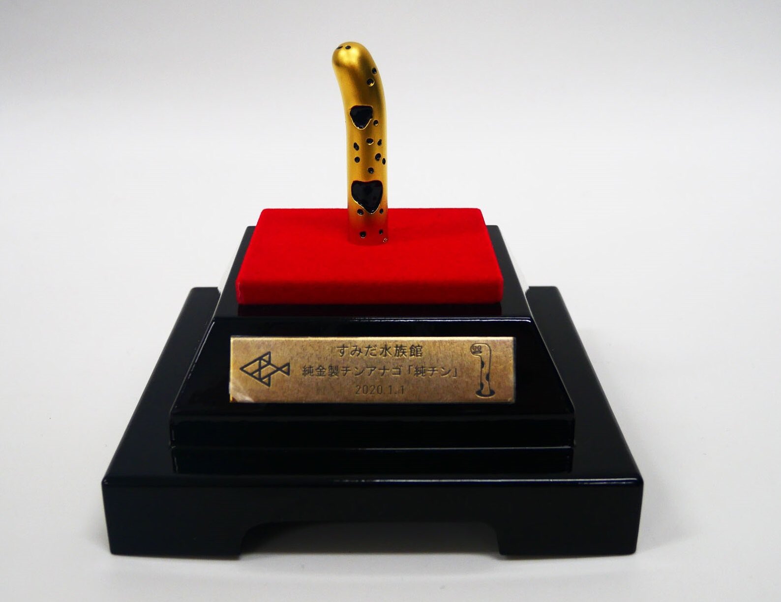 すみだ水族館【公式】 على X: 