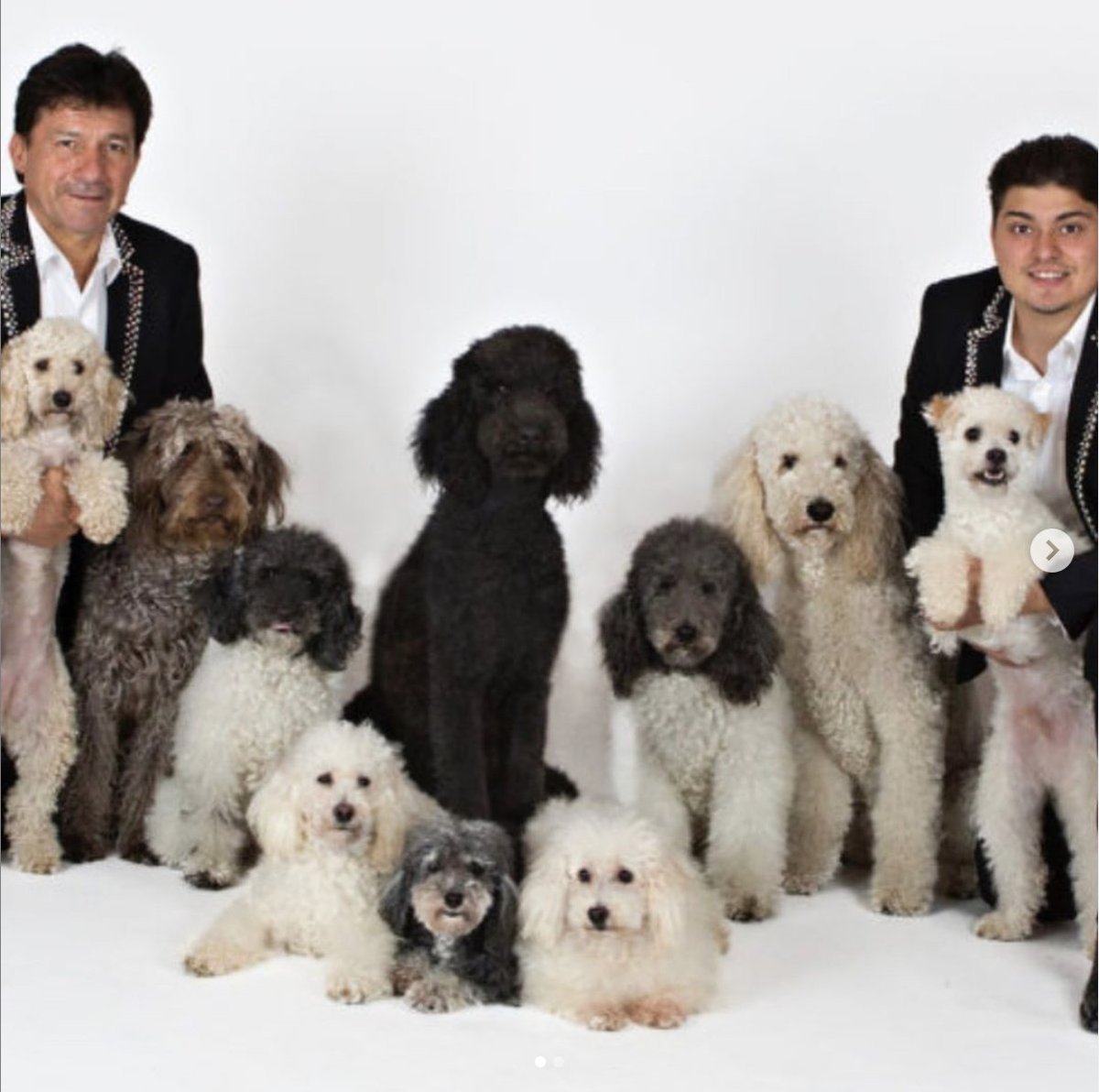 Late-breaking news from <a href="/1stnightchatham/">First Night Chatham</a> HQ ... Did you vote for the Olate Dogs, America's Got Talent's 2017 winners? 🐩 Well they'll be joining Bucky and Gigi at Cirque du Jour! 🎪Showtimes at Monomoy Middle School are 1, 3, 5 and 7pm. You won't want to miss this. 🥳  #FNC20