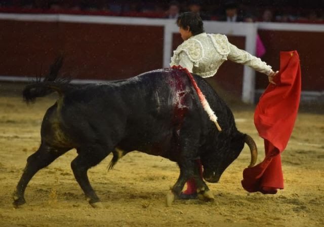 AndresistasR's tweet photo. Puerta Grande de @rocarey en @TorosenCali. Dos orejas a un bravo @JB_Caicedo de arrastre lento 📸 @enriqueguzmanjr &amp; @brianorozcoc https://t.co/VKaFKURxzY