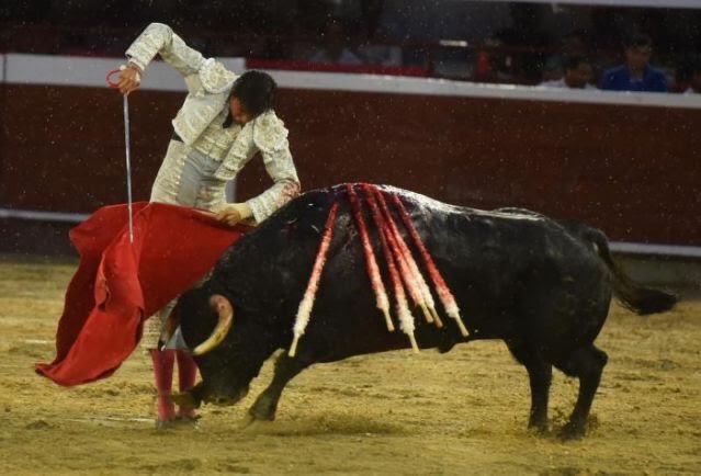 AndresistasR's tweet photo. Puerta Grande de @rocarey en @TorosenCali. Dos orejas a un bravo @JB_Caicedo de arrastre lento 📸 @enriqueguzmanjr &amp; @brianorozcoc https://t.co/VKaFKURxzY