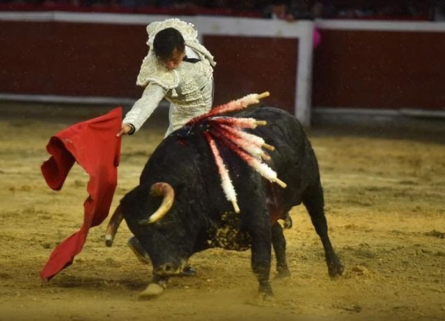 AndresistasR's tweet photo. Puerta Grande de @rocarey en @TorosenCali. Dos orejas a un bravo @JB_Caicedo de arrastre lento 📸 @enriqueguzmanjr &amp; @brianorozcoc https://t.co/VKaFKURxzY