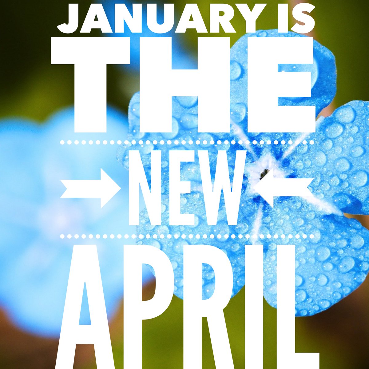RealtorJoanna's tweet photo. Spring starts on Jan 1 in real estate. Buyers are ready and there isn’t much inventory.  Undecided? Consider these top 3 reasons to list now:
1. Less competition!
2. Motivated buyers!
3. Low interest rates!
Let’s chat. 248.225.7419 https://t.co/WC1gBFlBkc