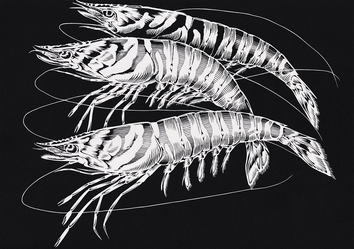2019年を作品だけで振り返って見ます。④
#2019を振り返る 
#切り絵 