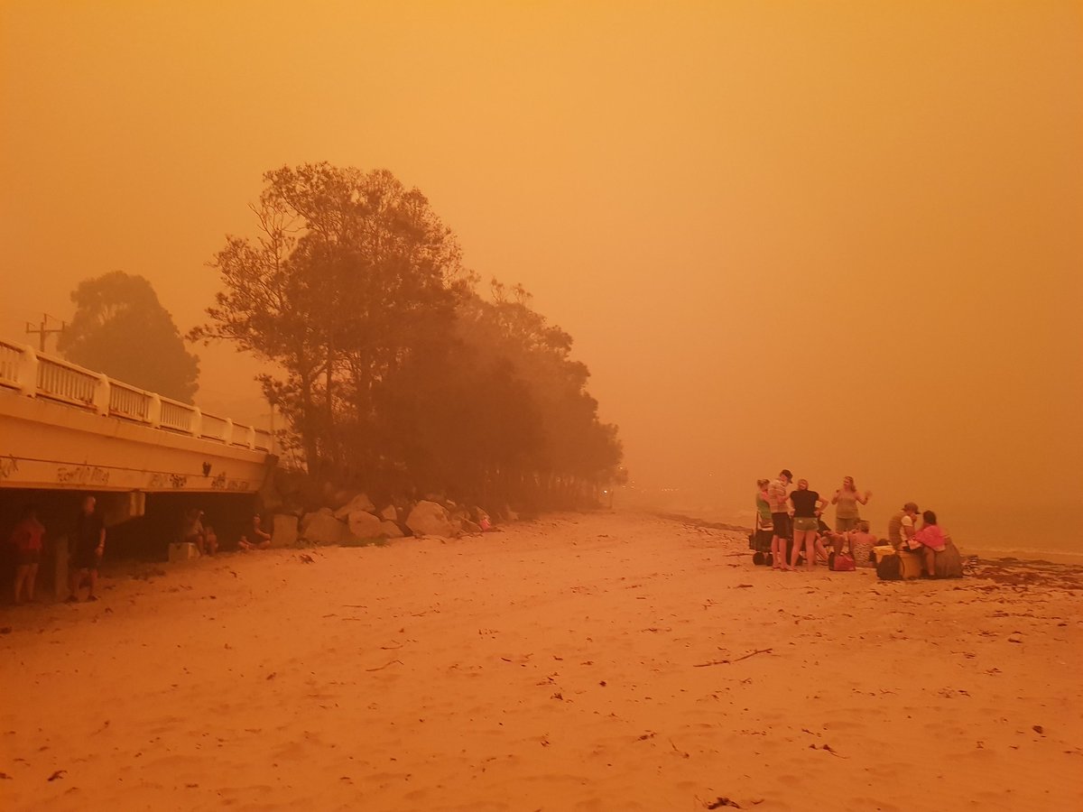 RebeccasSocial's tweet photo. Escaping the #Bushfire In #BatemansBay https://t.co/IGUgmhWChM