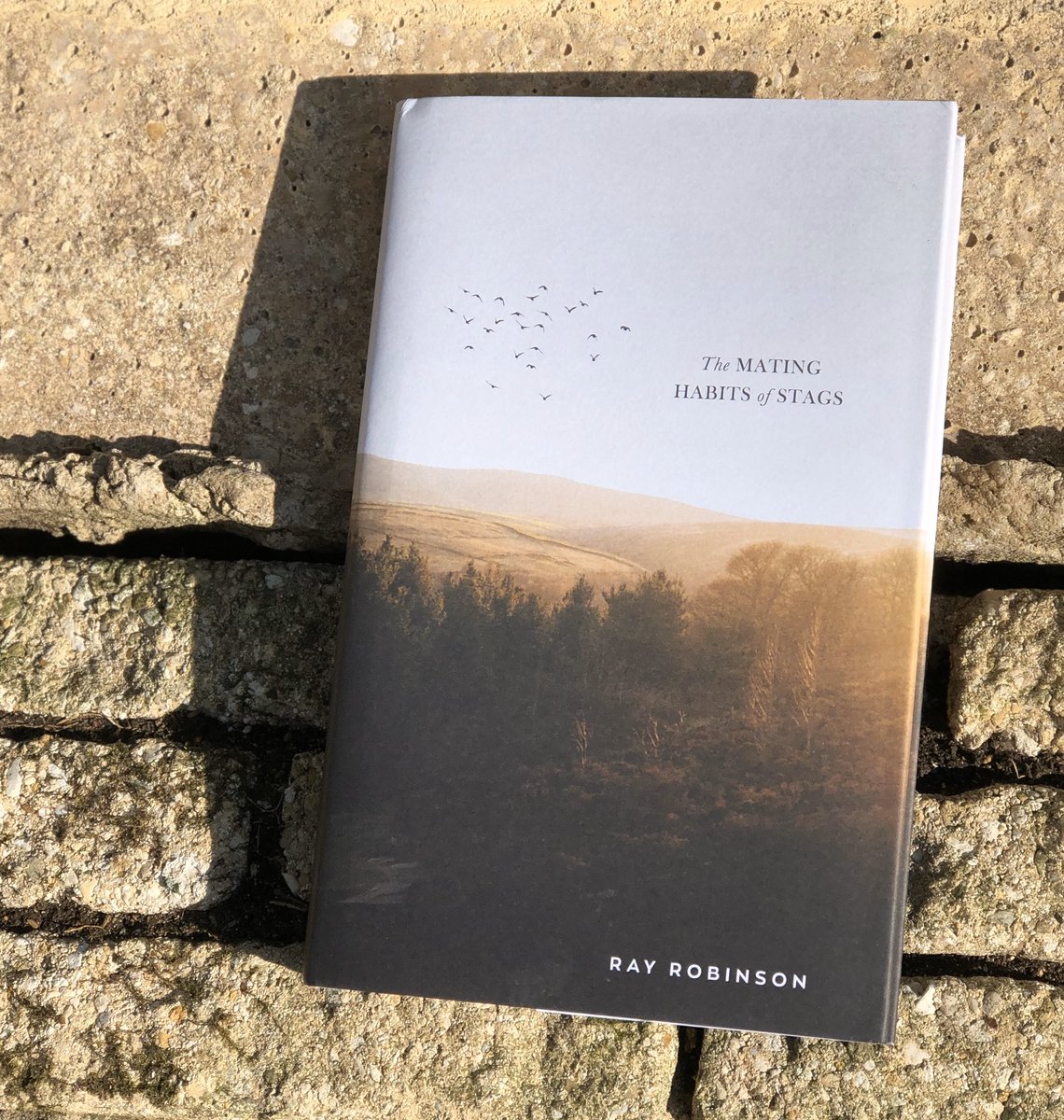 yearsofreading's tweet photo. #TheMatingHabitsOfStags by #RayRobinson from @EyeAndLightning is one of those novels that might not be on your radar.
Once you’ve read this raw and emotional novel, about a man trying to come to terms with what he has done, you will realise why it should be on everyone’s shelf. https://t.co/1BptEVSwsS