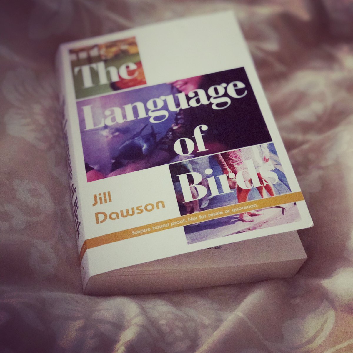 yearsofreading's tweet photo. #TheLanguageofBirds by @JDawsonwriter from @SceptreBooks is a clever retelling of the Lord Lucan story from the viewpoint of the nanny, called Mandy.
It is a brilliant story about class, women, what isn’t said, and how we choose to live our lives.
I think it’s just amazing. https://t.co/AkcjMIxbpC