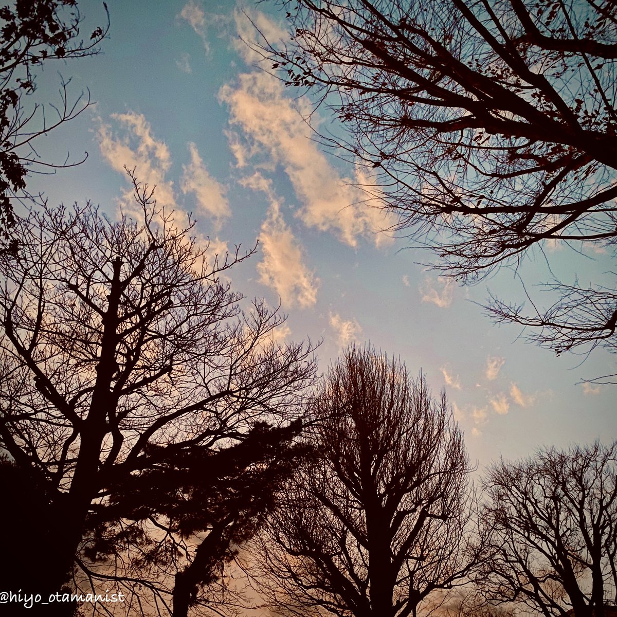 hiyo_otamanist's tweet photo. 令和元年、大晦日の夕空。

[December 31, 2019] #mysky #sunsetjp #夕空 #よいお年を 🇯🇵 https://t.co/Wt80geO81w