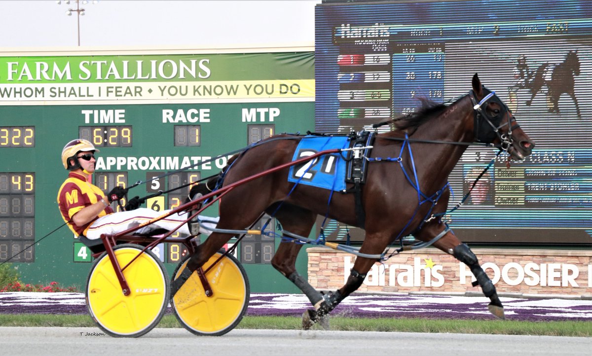 hoosiernations's tweet photo. Good Morning @MacomberJr @triplemracing @Chris_wponies @JoannKi32885615 @rebelsart @jtlburn @kimberlymoier @KathleenBaitzel @joe_norte @elliotgordon2 @GlenRmiller64 @GlenPeckinpaugh @SadandSulk @INStandardbred @vnssa926 @dolenski_john @blongphee67 #Turncoat #RickyMacomberJr https://t.co/jx9H9COHq6