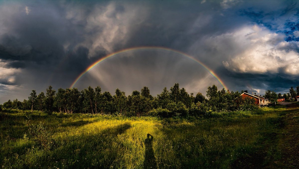 Mia Stålnacke tweet media