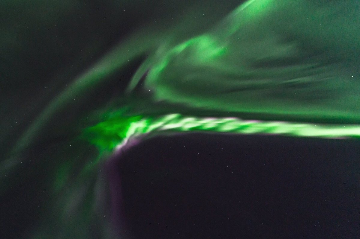 Mia Stålnacke tweet media