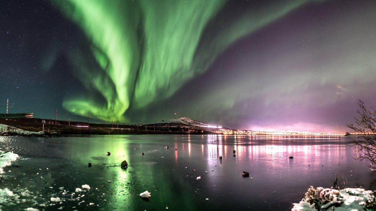 Mia Stålnacke tweet media