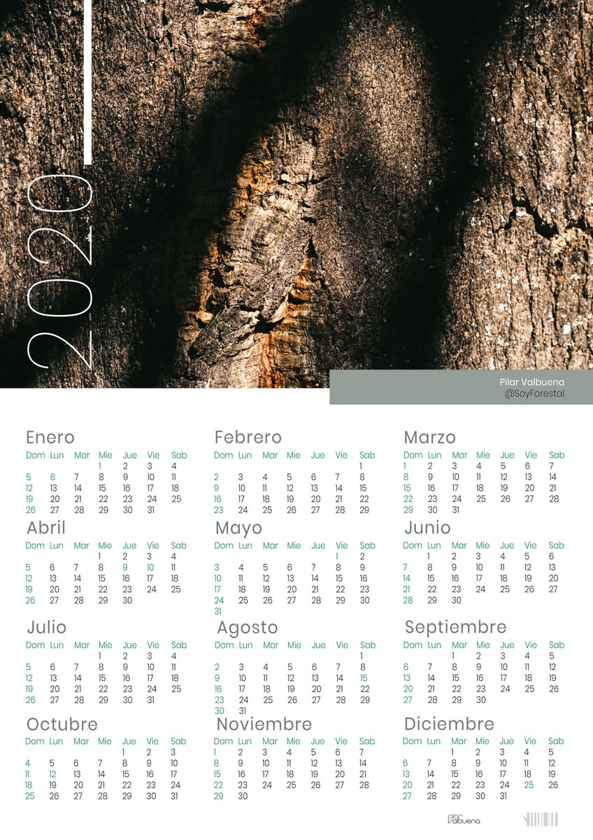 SoyForestal's tweet photo. Desde hace más de 10 años ya, hago un calendario para dar a familia y amigos con fotos que he hecho a lo largo del año, pero claro, para los que no estáis por Palencia o no os voy a ver... en digital para descargar: https://t.co/v9dEXPstJq 
Un abrazo y feliz año 2020!
Pilar https://t.co/Wvh3oIovEz