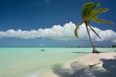 EuroAmbassador's tweet photo. #HappyNewYear #2020 to the #Kiritimati people! Congratulations! #ChristmasIsland you are the first to receive the new year & decade! #RepublicOfKiribati #LineIslands #TheAmbassador https://t.co/hvSeDiSZHS