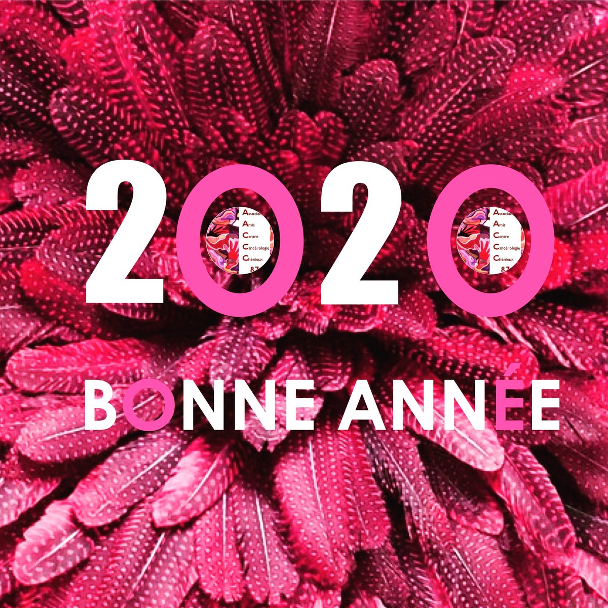 AACCC_87's tweet image. L&apos;#AACCC vous présente ses meilleurs vœux pour l&apos;année 2020 🚩