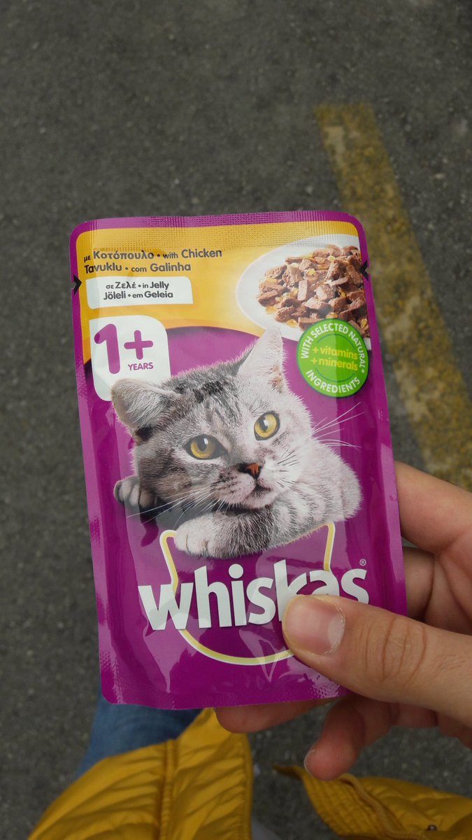 Kasiyer afiyet olsun dedi.
-Miyyyyaavvvv