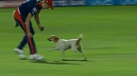 Never miss out on appreciating the little things in life.