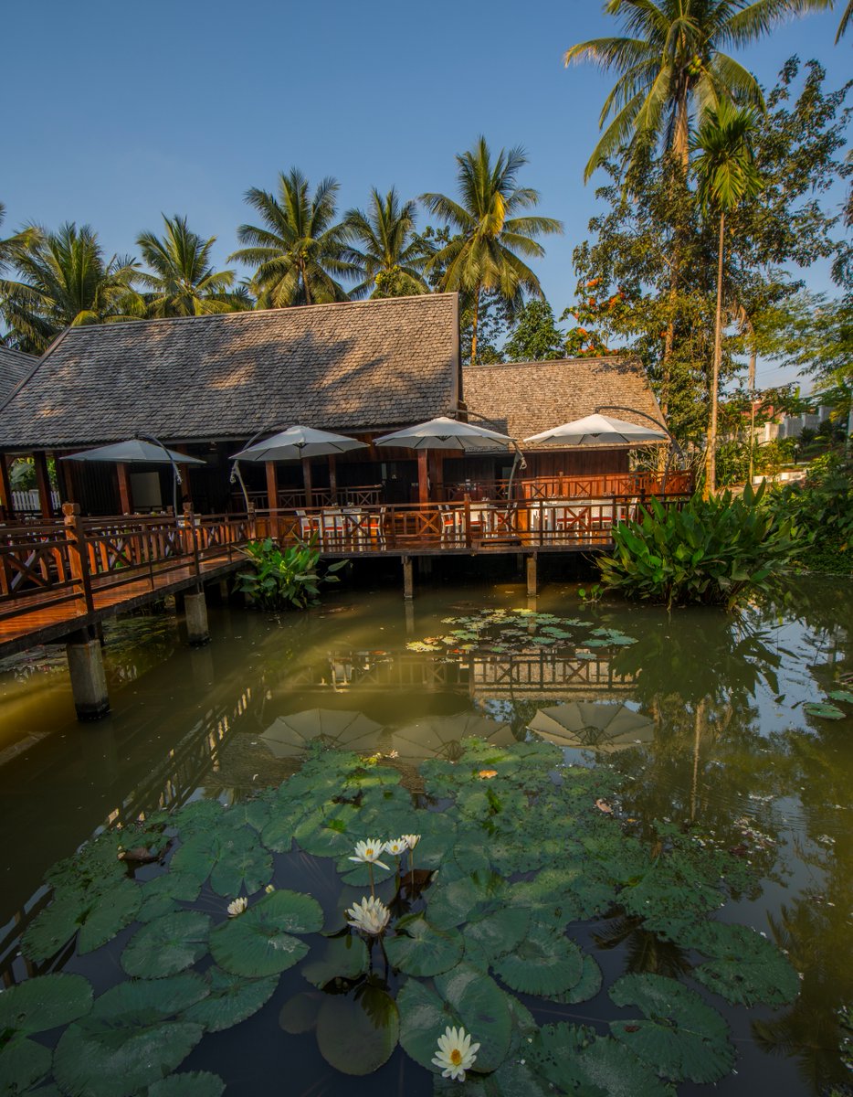 parasolblanc's tweet photo. Boasting one of the best vantage points to view #LuangPrabang's starry sky ⭐⭐, the White Lotus Restaurant with its outdoor terrace and a selective menu is one of the top venues to see off 2019 and ring in 2020. #NewYearsEve2020 https://t.co/ZDSxSGKL9p