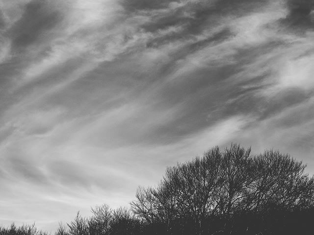 calfredop's tweet photo. #bw #bnw #blackandwhite #landscape #clouds #nuvole #italy #italia #pratomagno #pratomagno1592 #trees #igersitalia #bye2019 #paesaggio https://t.co/dTQMnJfaXF