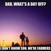 Sebuah kenyataan yang amazing