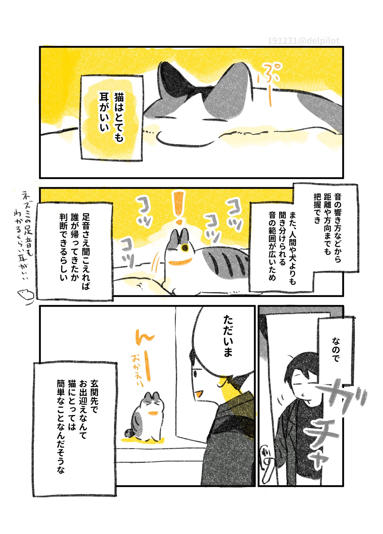 玄関でいつも待ってくれる猫ちゃん この瞬間がたまらなく尊すぎた Cupeポスト