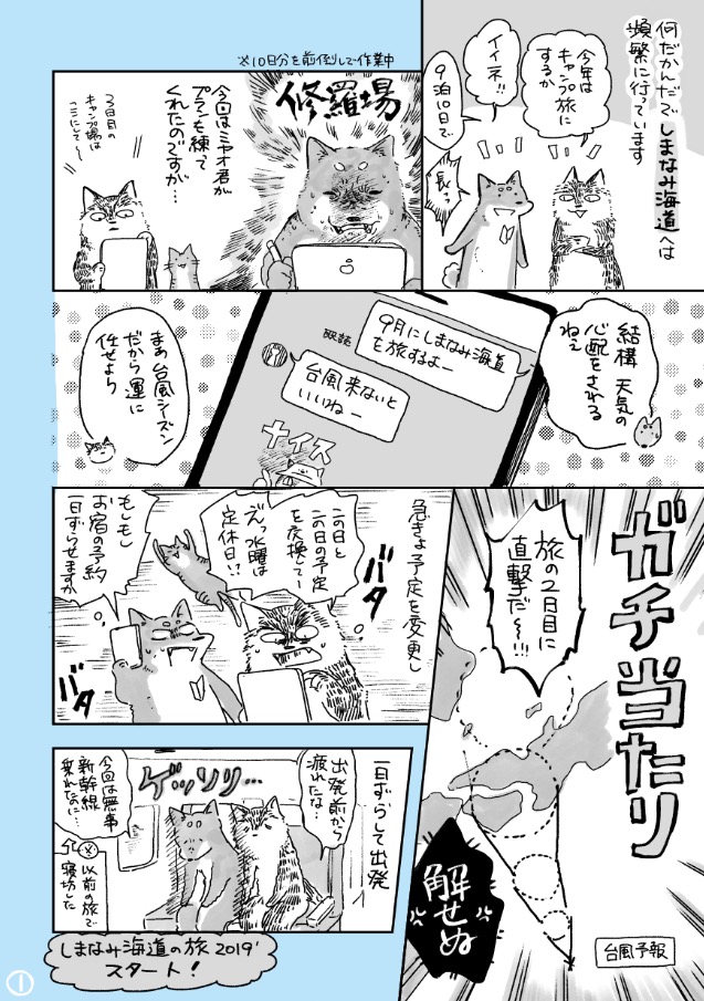 【しまなみ海道の旅レポ~2019~⑴】
2019年9月に行った旅のレポートを本日から不定期にあげていきます〜🚲 #ブロンプトン #キャンプ #しまなみ海道
ブログ:https://t.co/sFas8bSCNO