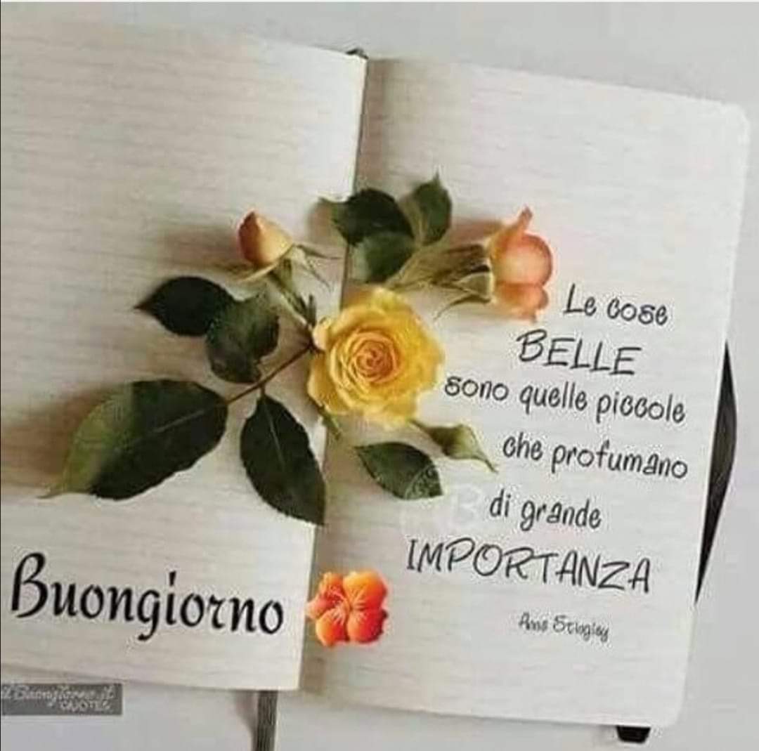 Italo Francese على تويتر Buongiorno Ho Un Pensiero Per Tutta L Italia In Questo Ultimo Giorno Dell Anno 19 Pensiero Buongiorno Ultimo Anno Anno19 Anno Questo Serenata Oggi Totocutugno Toto Giamento