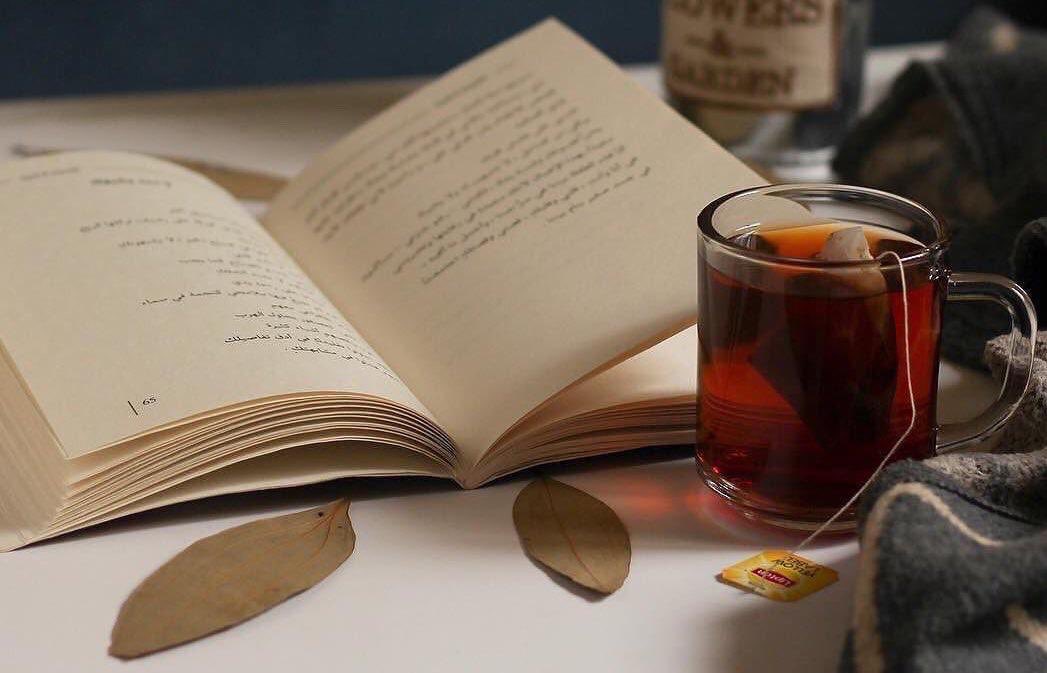 الكتاب الجيد يدفعك إلى إعادة النظر فيه
أما الكتاب العظيم فيدفعك إلى إلى إعادة النظر في روحك .

- ريتشارد فلاناغان