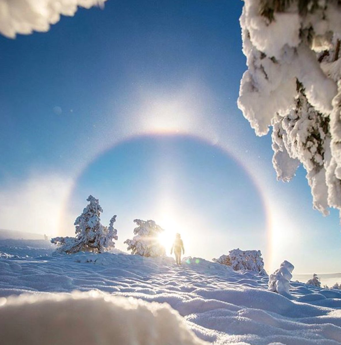 joybellabella's tweet image. For every fear that shakes your peace. For every moment you lose hope. There is an angel who whispers, I am here.