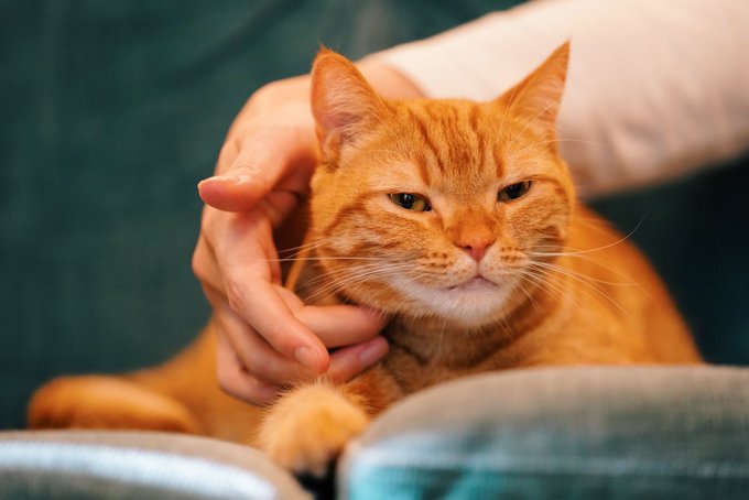 花江 夏樹さん と Limodom のやりとり 1 Whotwi グラフィカルtwitter分析