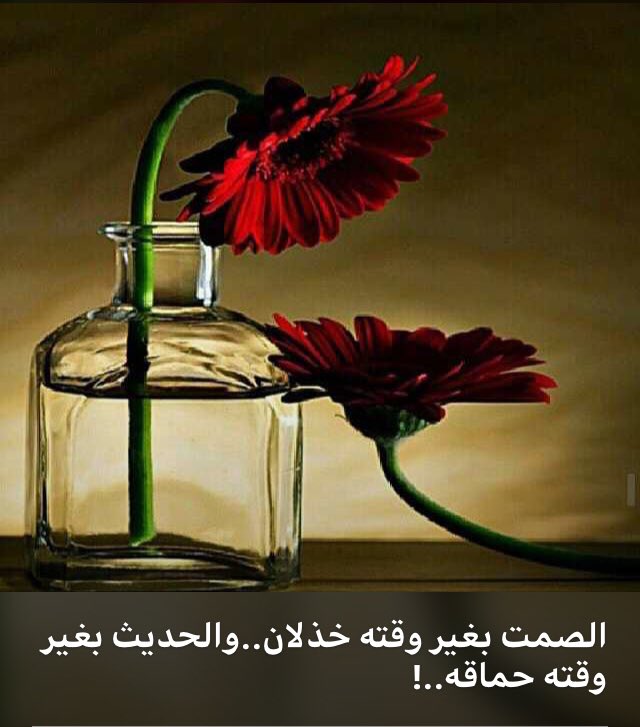 الصمت بغير وقته خذلان..والحديث بغير وقته حماقه..!