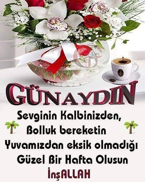 Recep15871968's tweet photo. https://t.co/9rviovywho
