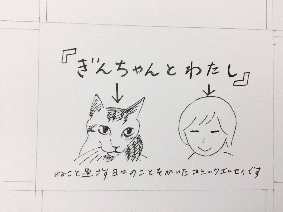 まだいろいろあった、ポップ用にかいた絵とか
今年はぎんちゃんの絵を特にたくさんかいたのでしあわせだったけど、絵をかこうとして見るのとぎんちゃんを見るというのは別で、二者間だけのものではない視線にならないように意識することで薄い膜のようなものができてしまう経験との行き来があった 