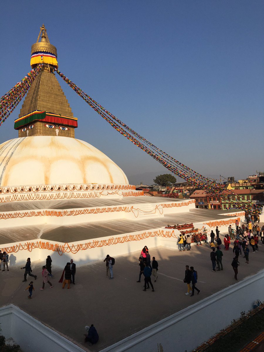 New year under halcyon gaze
Wisdom and compassion
.
.
#evenyear