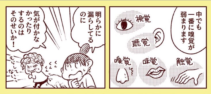 認知症は五感が低下しやすく、中でも一番に嗅覚が弱まります。匂いや、料理の味などにも少し気をつけてみると良いかもです。
(↓詳しくは「マンガ認知症」で)
認知症ってなんですか?|マンガ 認知症|ニコ・ニコルソン,佐藤 眞一|webちくま(1/2)