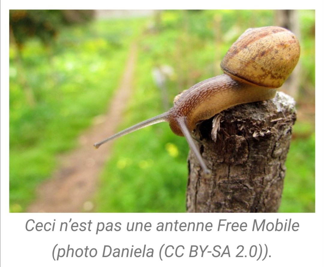 Pascal_MTN's tweet photo. Très drôle 😂 Photo publiée dans un article sur le  prochain débit réduit des abonnés Free sur le réseau Orange. https://t.co/zNxnJhLVzv