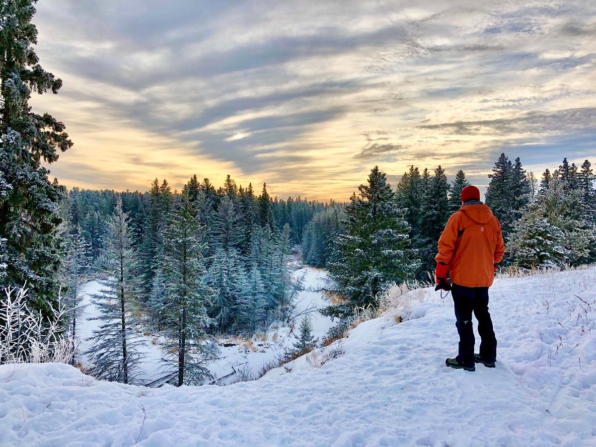 dwilapix's tweet photo. Dynamic sky, beautiful frost, and not a breath of wind. This was a perfect day to fill our spirits in nature!
#shotoniphone #iphoneX #mobile #mobilephotography #mobileography #mobileperfection #naturelovers #forestphotography #naturesbeauty #winterwonderland #littlered #littlered https://t.co/FcwLxnCcp0