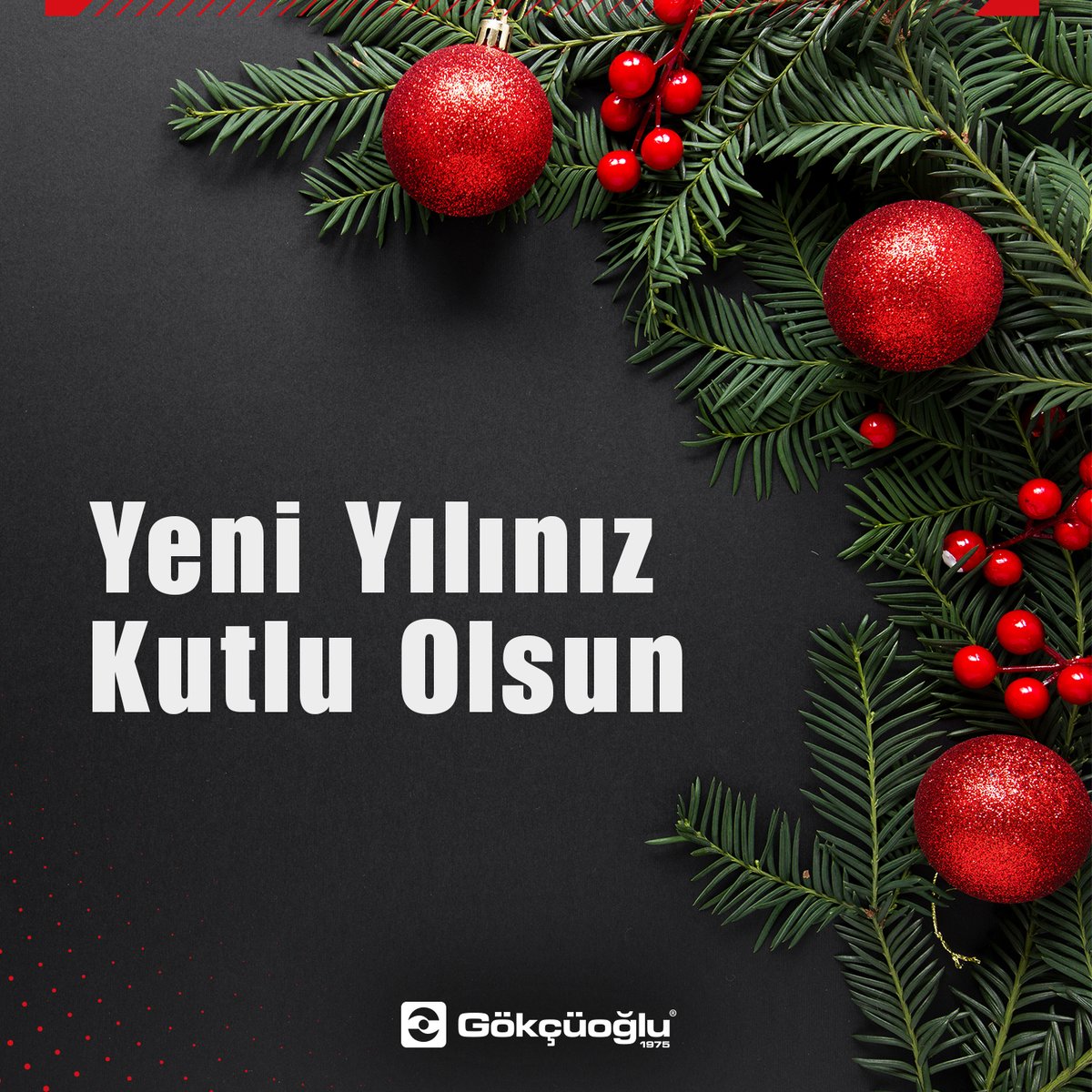 gokcuogluas's tweet photo. 2020 Yılınızın Sağlıklı ve Huzurlu Geçmesi Dileği İle...
Mutlu Yıllar!!!
#yeniyıl #hoşgeldinyeniyıl #mutluyıllar #happynewyear #gökçüoğlu #gom #govama https://t.co/dTtvlnC0Hv