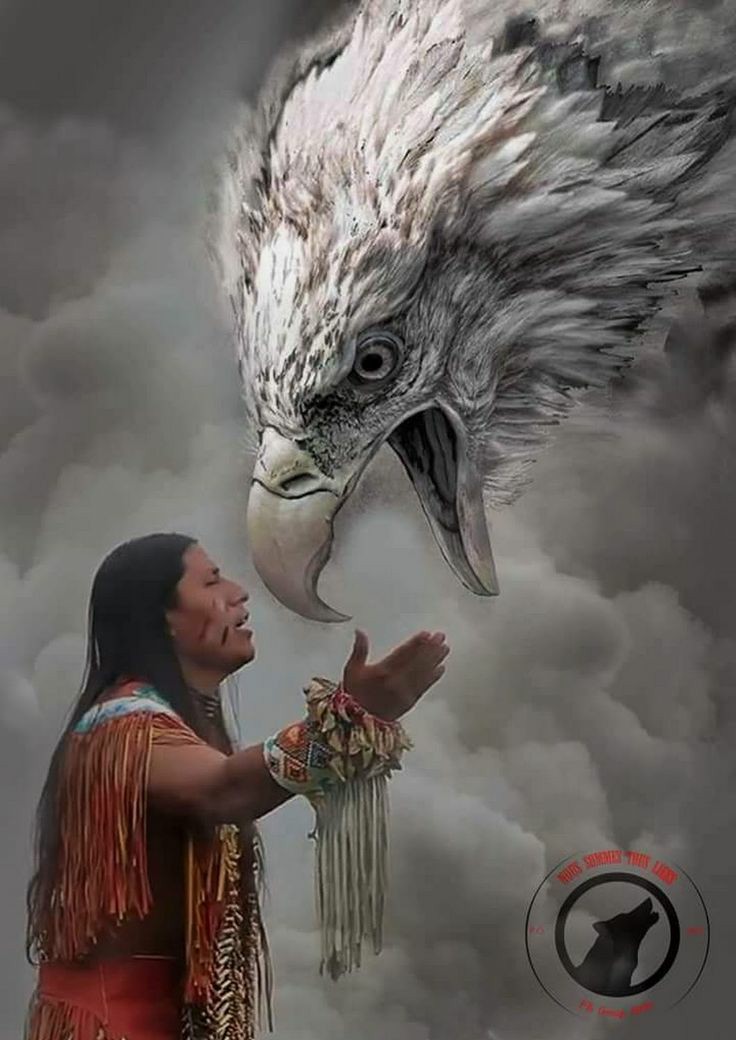 NativeAHistoryM's tweet photo. #GreatSpirit if I had wings as an eagle I would soar high above as the sky🕊i'd keep an 👁 on my ❤s NativeNDN prideflags waving, flapping feathers @sounds of mystery winds. Ohhh, how I love the country I'm in. If only I'd win this wish #PrayinGonA🌠 be all U R @MontanyaNotes🌵🌹 https://t.co/1mOUAV4Zdw