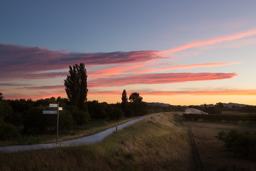 The sun setting on the year's end, and what an incredible year it has been. I can't wait for the new decade...and tonight's celebrations 🥂
#capekidnappers #robertsonlodges #relaischateaux #luxurylodgesnz #hawkesbay